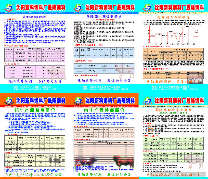 饲料彩页 猪料彩页 肉牛料彩页