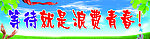 等待就是浪费青春