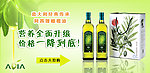 橄榄油网站头图