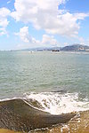 海边礁石浪花