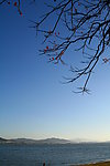 鼓浪屿远眺