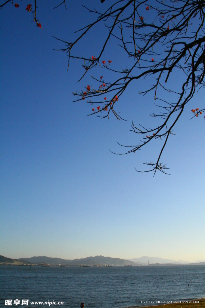 鼓浪屿远眺