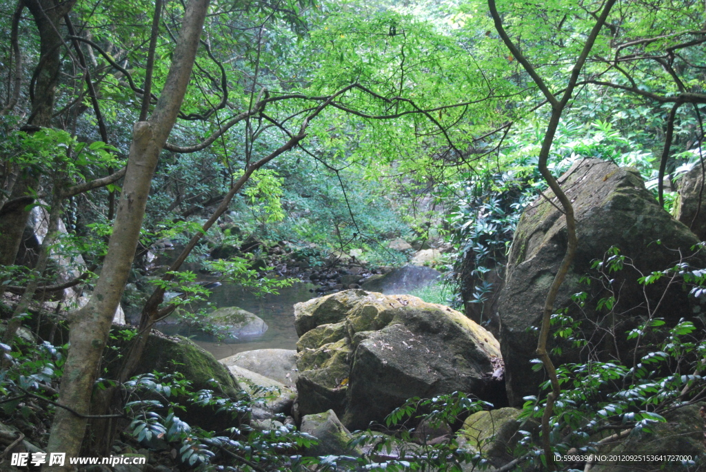 山林图片