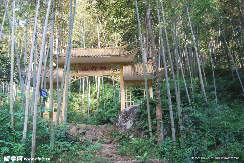 山竹林