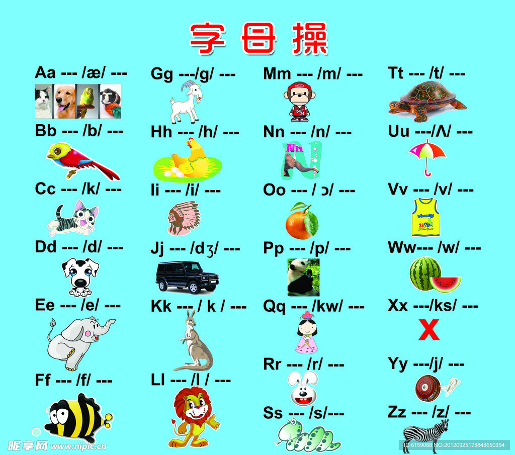 字母操