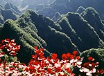 漂亮山脉