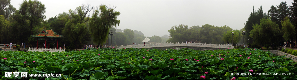 抚顺美景