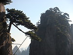 松景