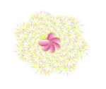 可爱底纹