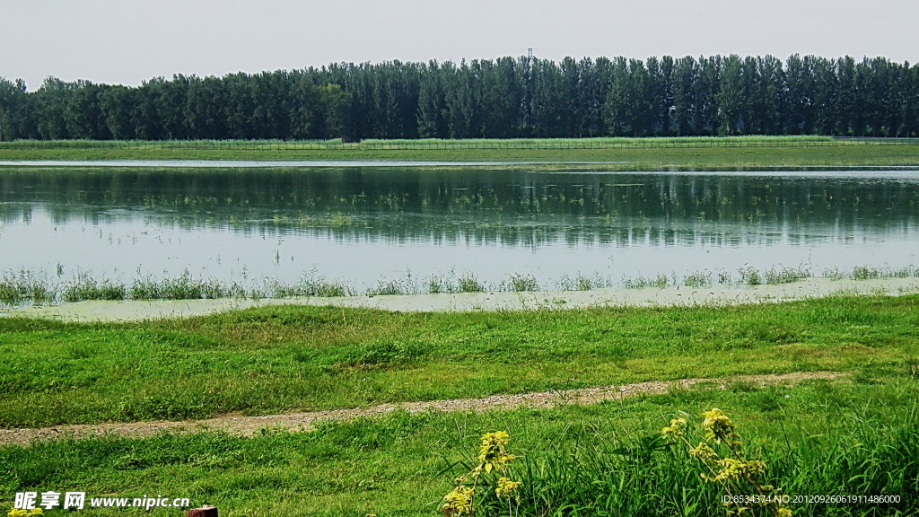 湿地景观