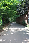 乡间小路