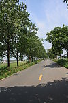 乡间公路