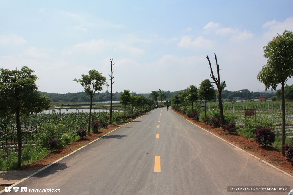 乡间公路