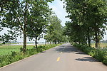乡间公路