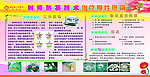 射频热凝技术治疗慢性疾病