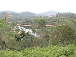 深圳仙湖远景