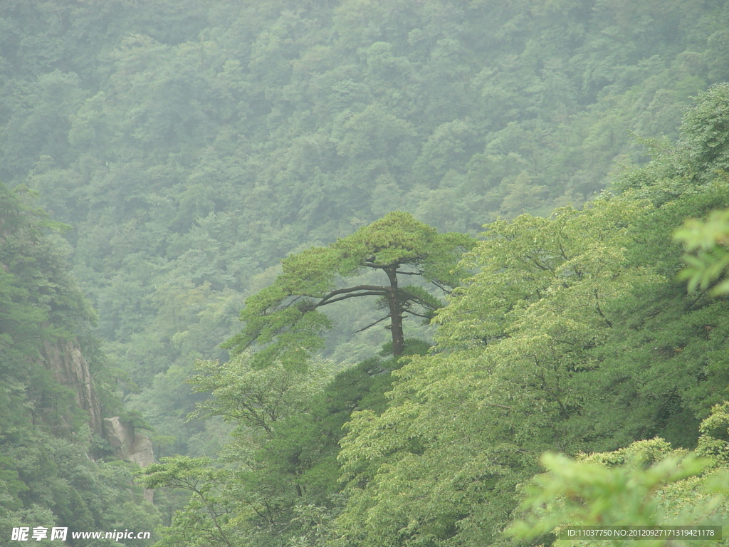 黄山风光