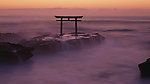 日本鸟居