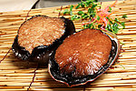 澳洲鲍