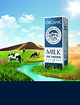 圣牧牛奶海报主视觉竖版