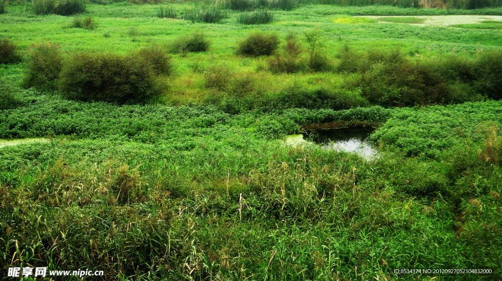 赵河水滨