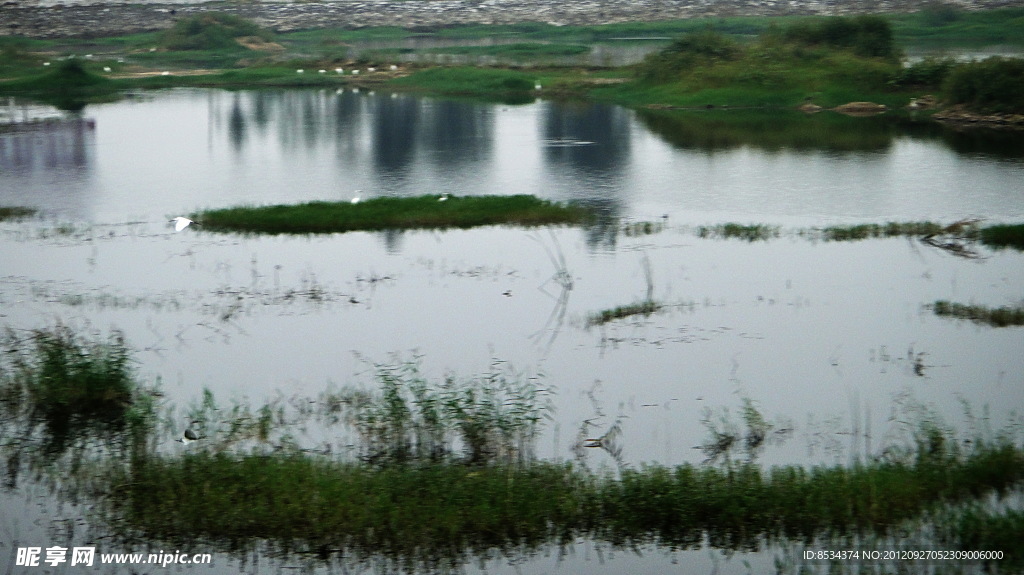 赵河水滨