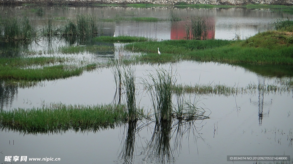 赵河水滨