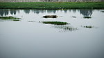 赵河水滨