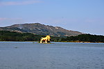 太公湖风光