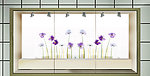 兰花2月