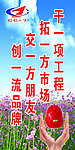 工地宣传标语