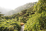崂山 风景