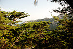 崂山 风景