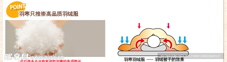 高品质羽绒结构图