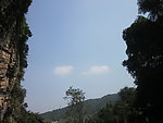 天空与树木