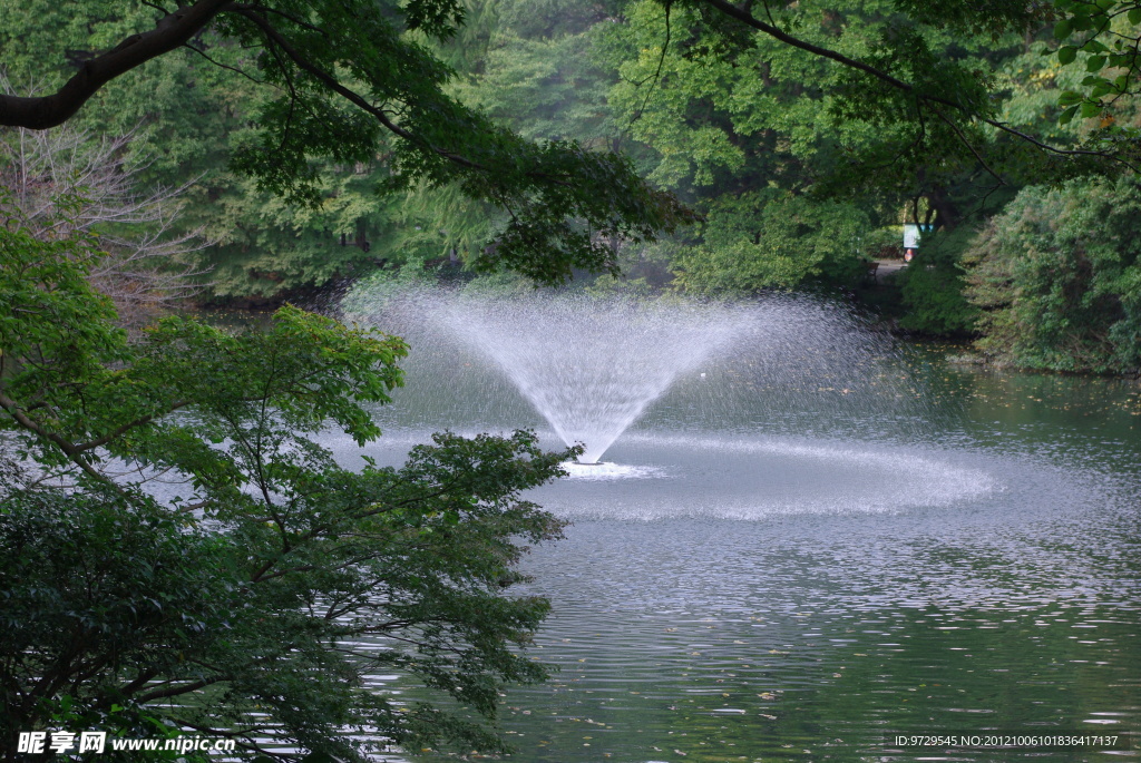 森林湖泊