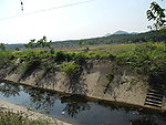 秋天田野