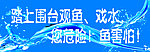 踏上围台观鱼 戏水