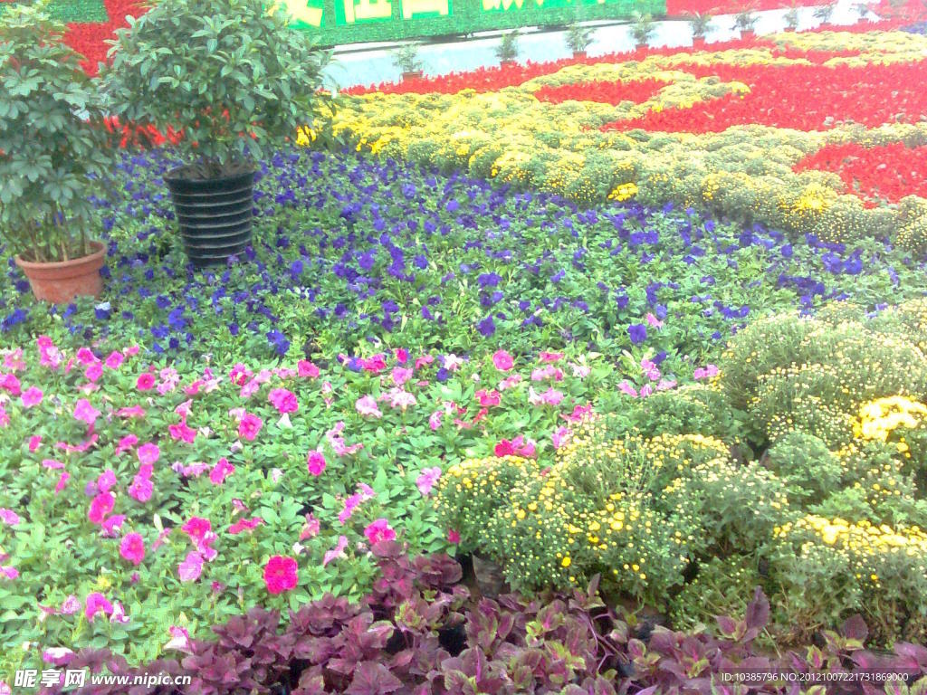 花景