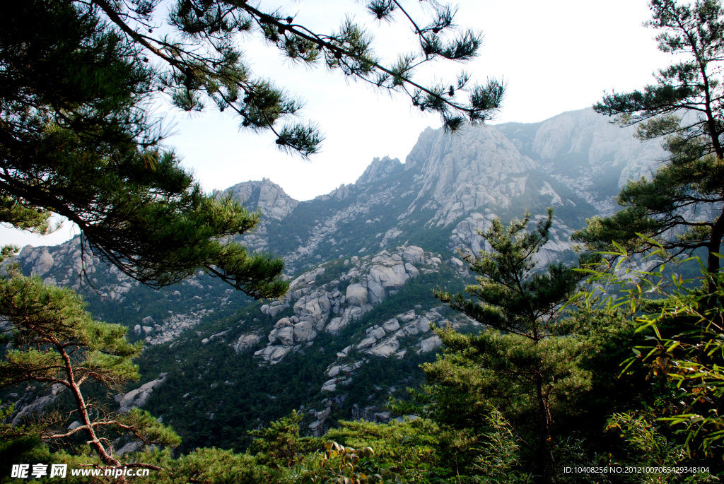 高山景观