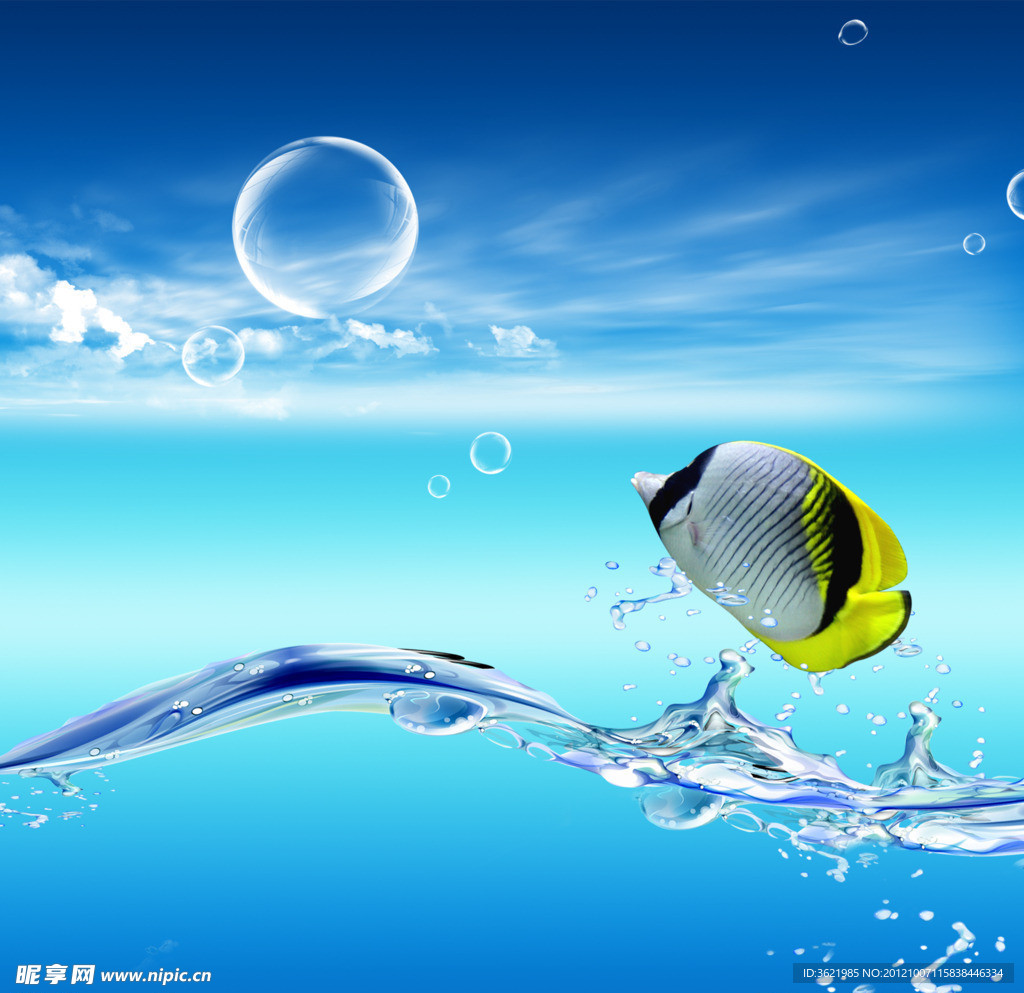 海鱼泡泡