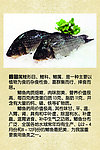 鲫鱼