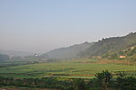 家乡田野美景