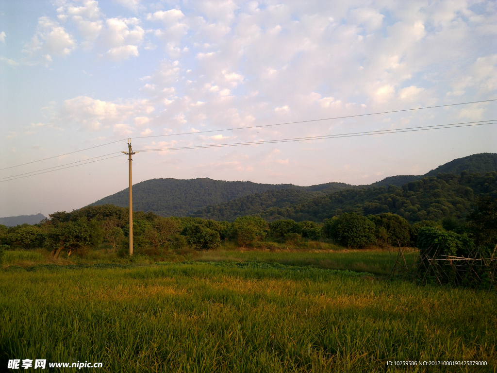 稻田远山白云风景