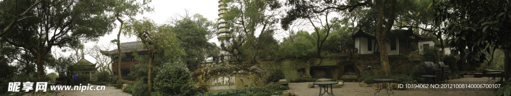 绿树