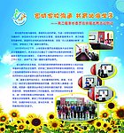 家长委员会版面