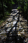 道路