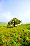 山峦