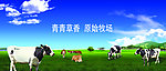 牧场