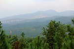 山林